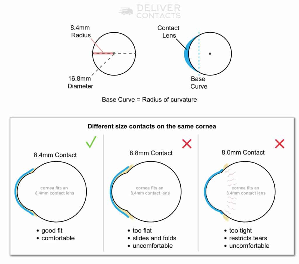 Understanding Base Curve BC For Contact Lens Prescriptions