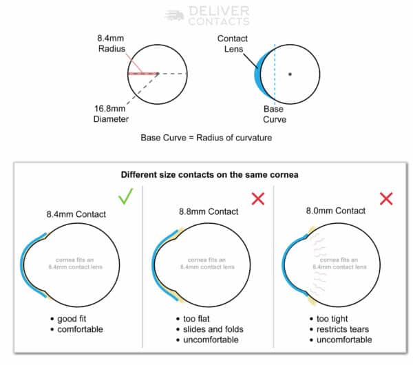 Understanding Base Curve (BC) For Contact Lens Prescriptions